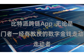 比特派跨链App  无论是入门者一经有教授的数字金钱走动者