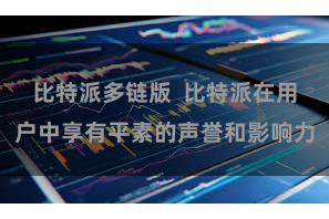 比特派多链版  比特派在用户中享有平素的声誉和影响力