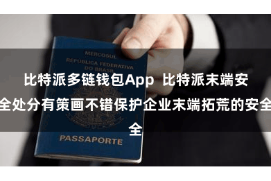 比特派多链钱包App  比特派末端安全处分有策画不错保护企业末端拓荒的安全