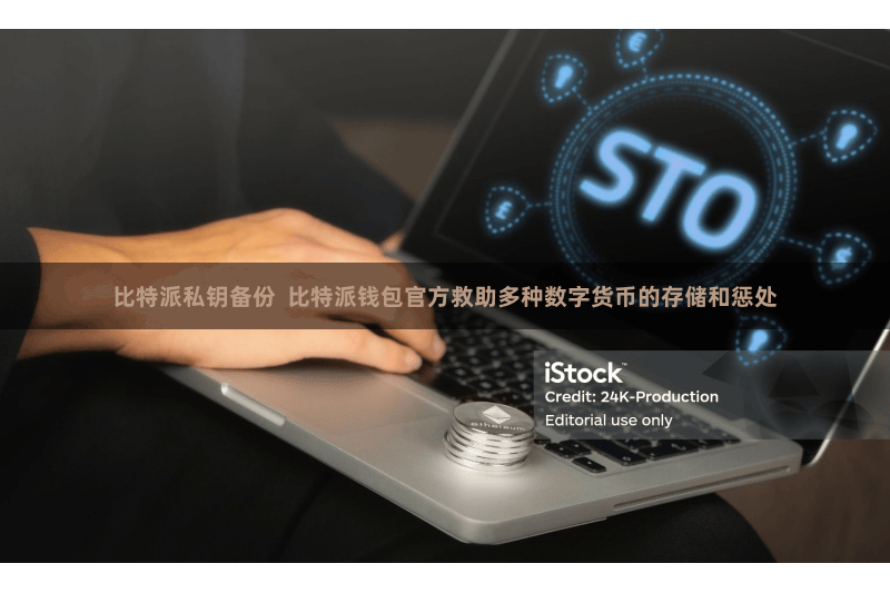 比特派私钥备份  比特派钱包官方救助多种数字货币的存储和惩处