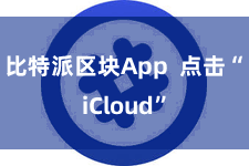 比特派区块App  点击“iCloud”