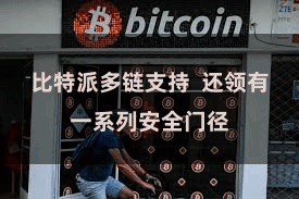 比特派多链支持  还领有一系列安全门径