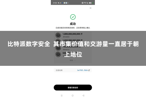 比特派数字安全  其市集价值和交游量一直居于朝上地位