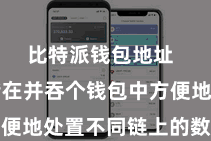 比特派钱包地址  用户不错在并吞个钱包中方便地处置不同链上的数字钞票